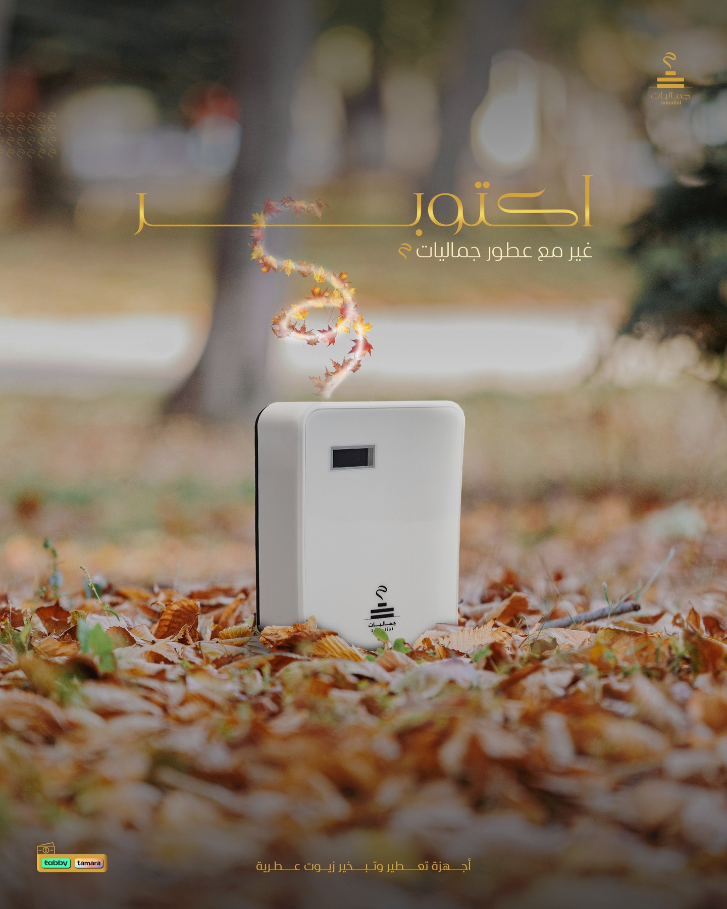 561674725 18309792418219581 1520996398391300885 n Jamaliat